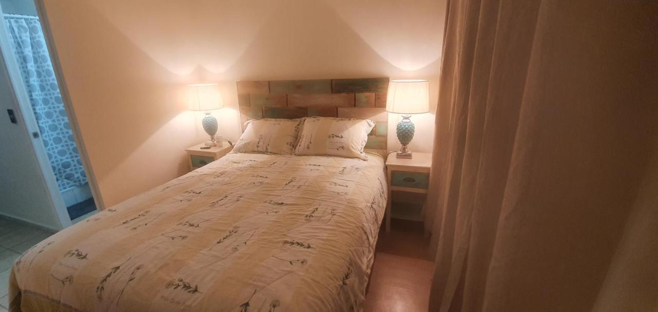 Appartamento Arriendo Departamento Santiago del Cile